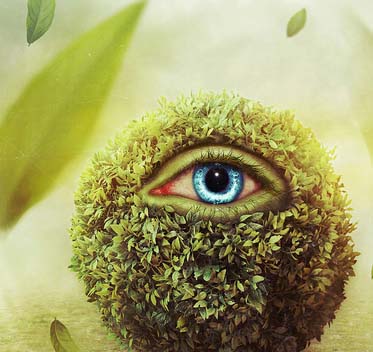 超强性能持久的网站攻击软件工具