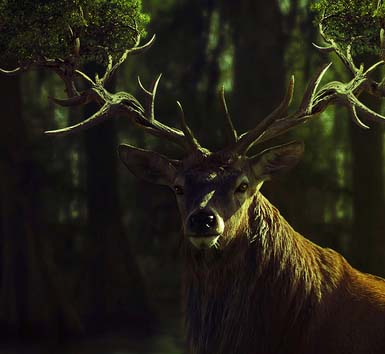 DDOS压力测试网页端