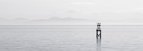 超强性能持久的免费ddos网页端