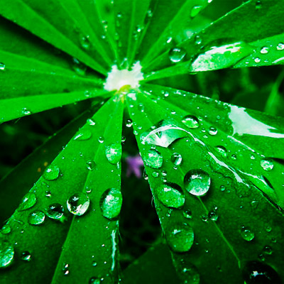 ddos压力在线测试平台